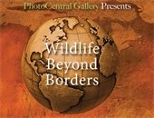 Wildlife Beyond Borders