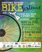 Bike Festival Image